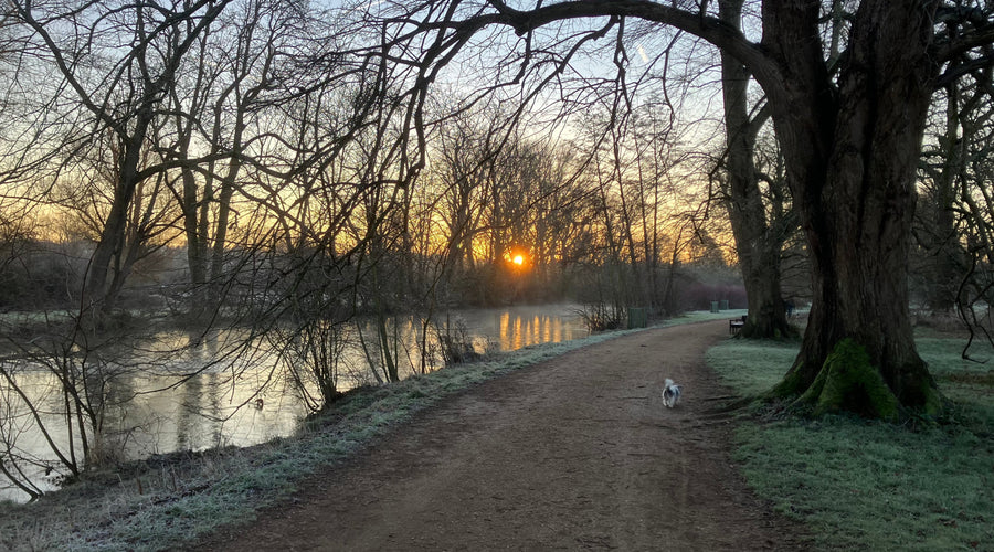 HAPPY HAPPY NEW YEAR - JANUARY 2026